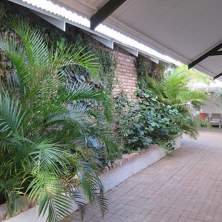מלון Rehoboth Tropic Of Capricorn Guest Farm מראה חיצוני תמונה